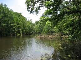 Mule Jail Lake